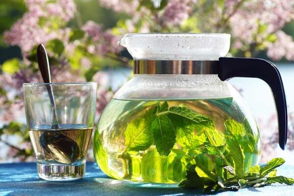 chiropractor taree herbal tea