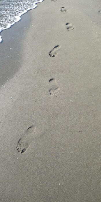 Just how important are your feet?
